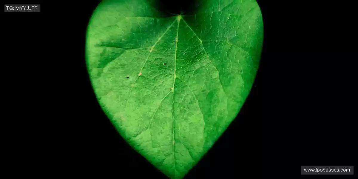 ⚽【赛事官网】汗水浇筑梦想，这里见证冠军诞生！